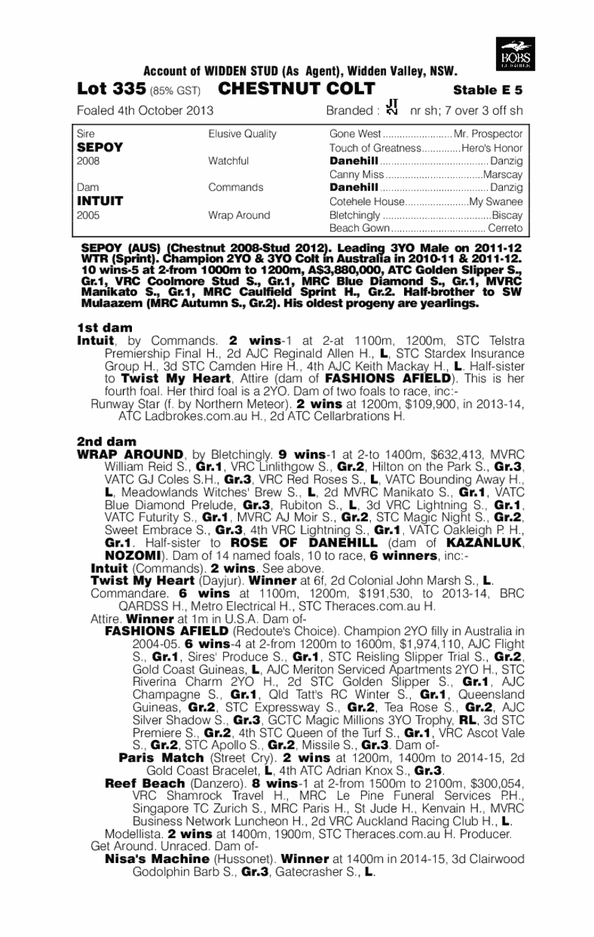 Sepoy (AUS) / Intuit (AUS) - pedigree