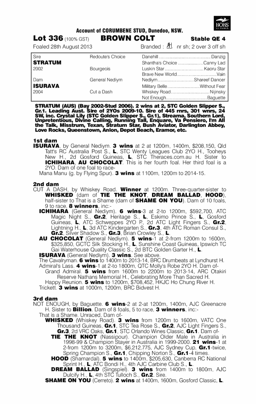 Grotteria (AUS) - pedigree