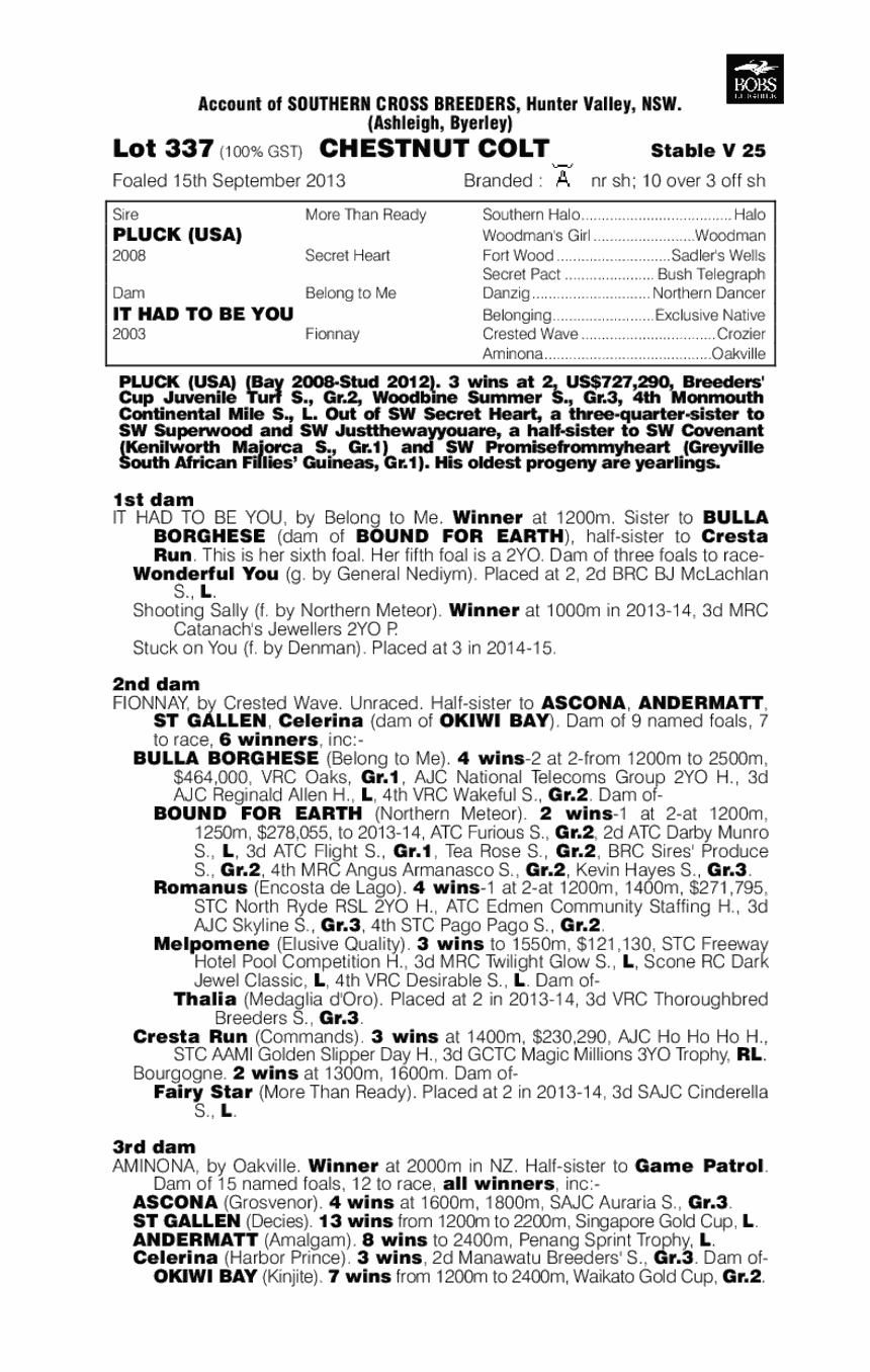 Pluck (USA) / It Had To Be You (AUS) - pedigree