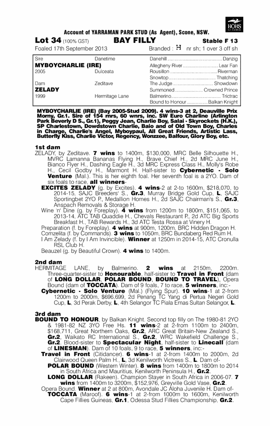 Zelady's Night Out (AUS) - pedigree