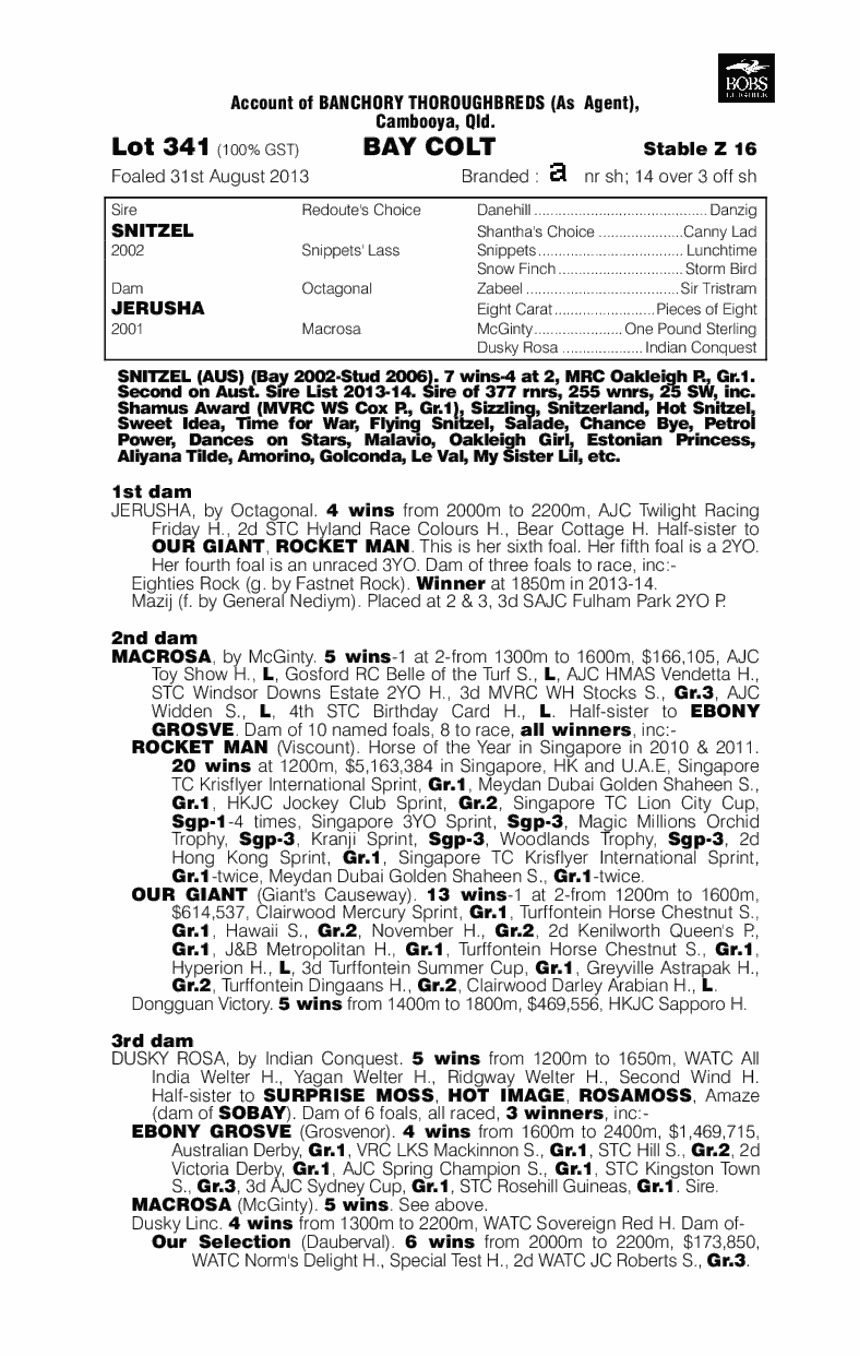 Snitzel (AUS) / Jerusha (AUS) - pedigree