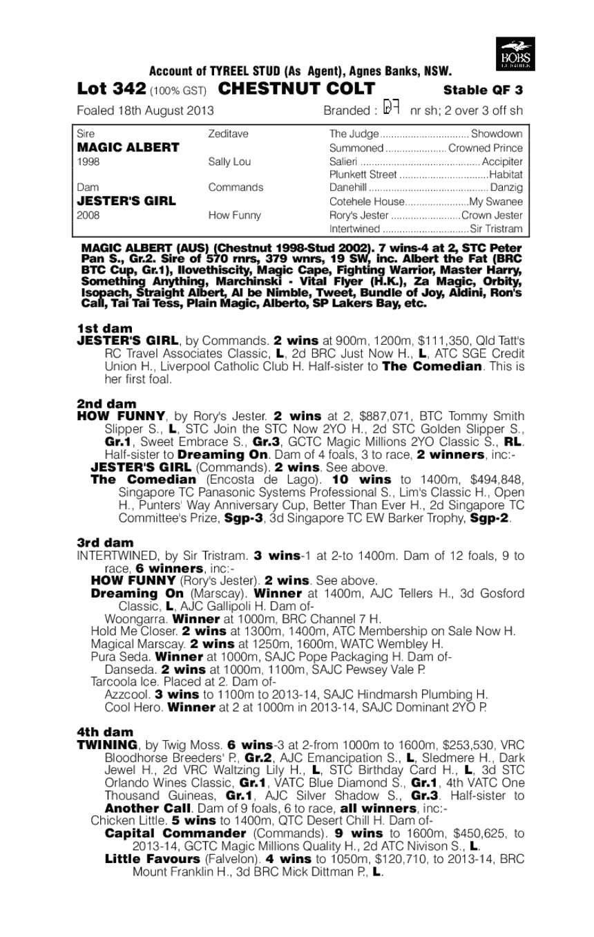 Magic Albert (AUS) / Jester's Girl (AUS) - pedigree