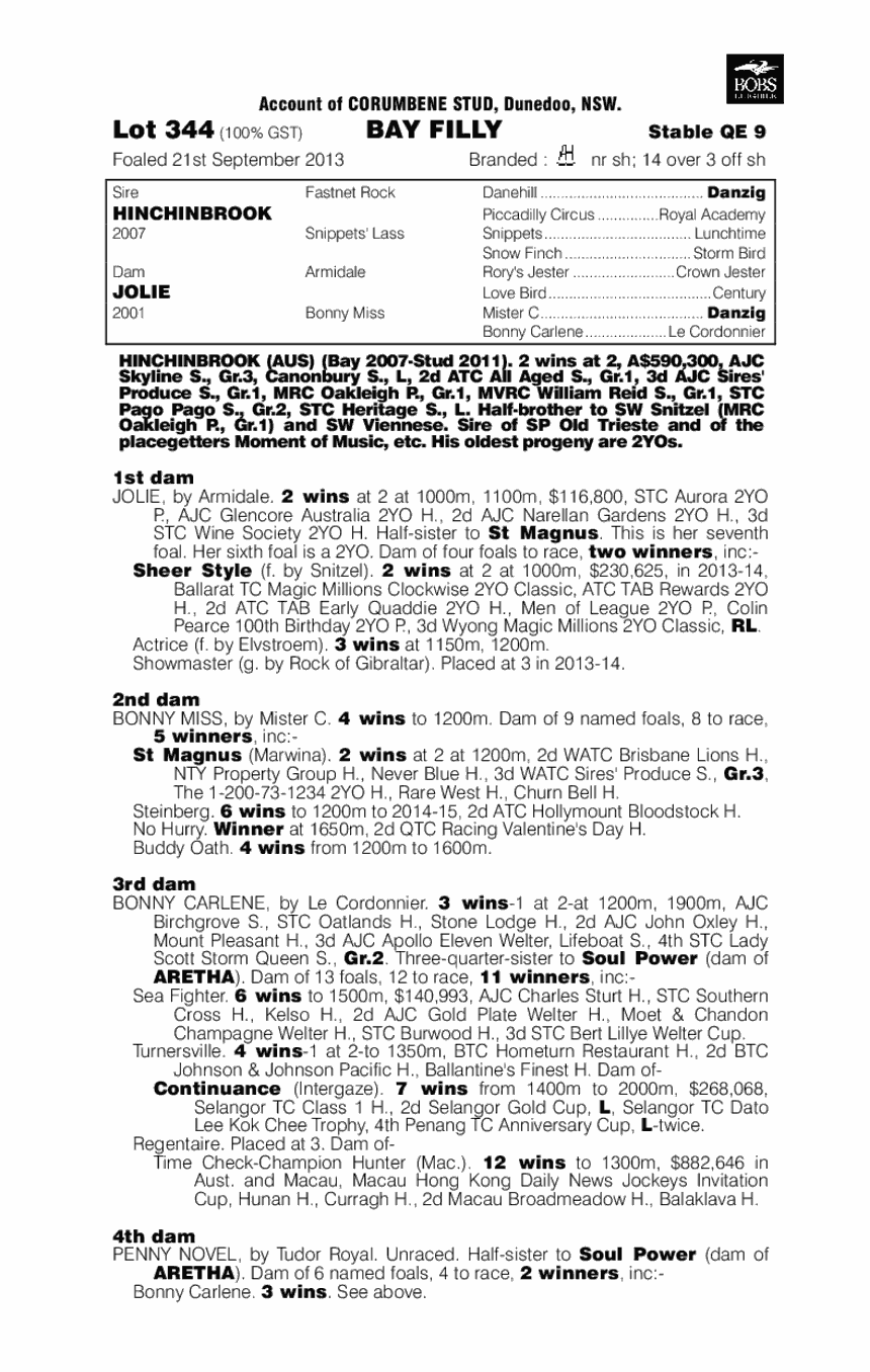 More Style (AUS) - pedigree