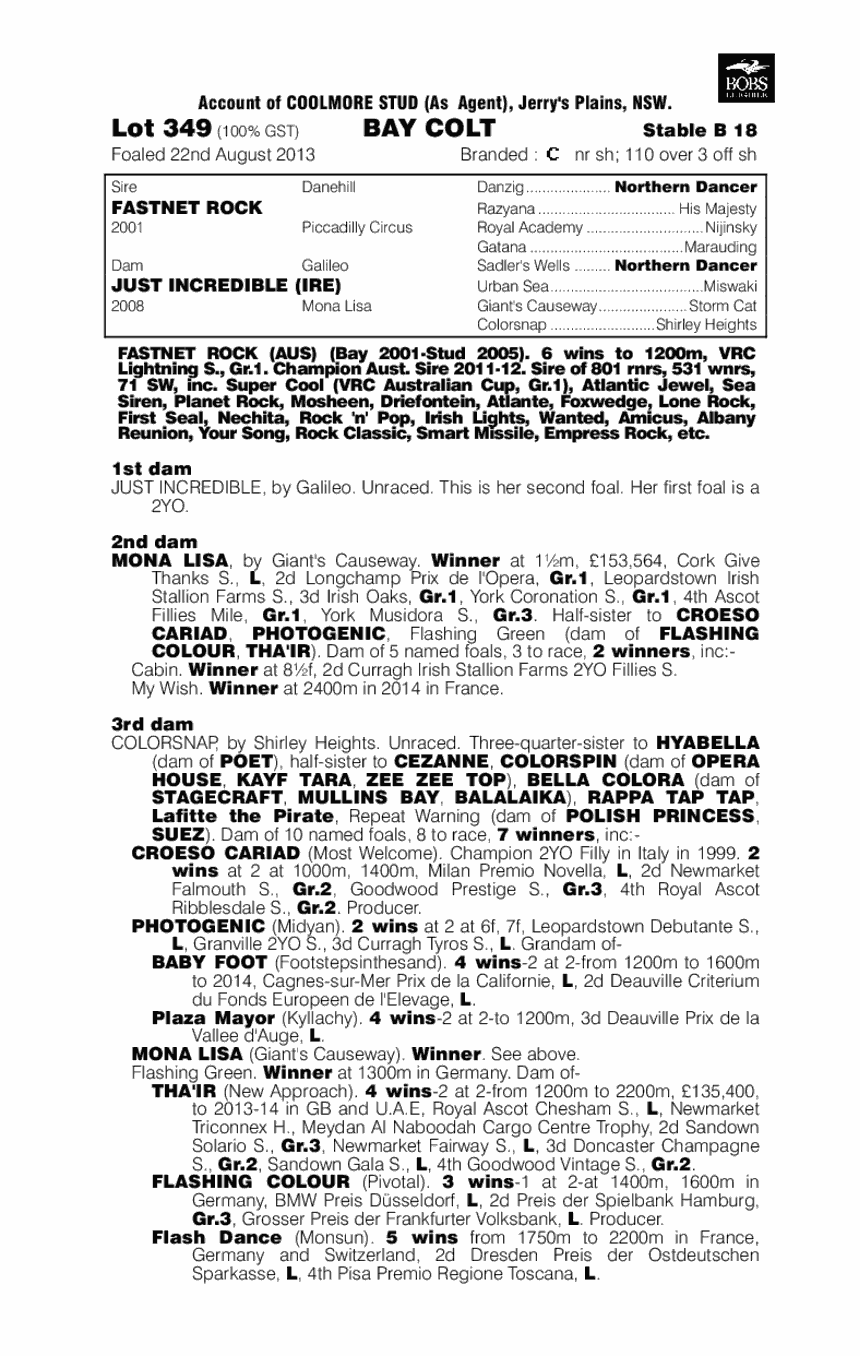 Rock With You (AUS) - pedigree