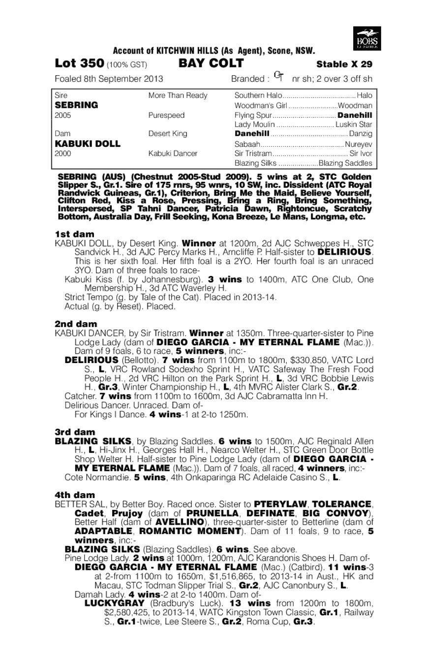 Sebring (AUS) / Kabuki Doll (AUS) - pedigree
