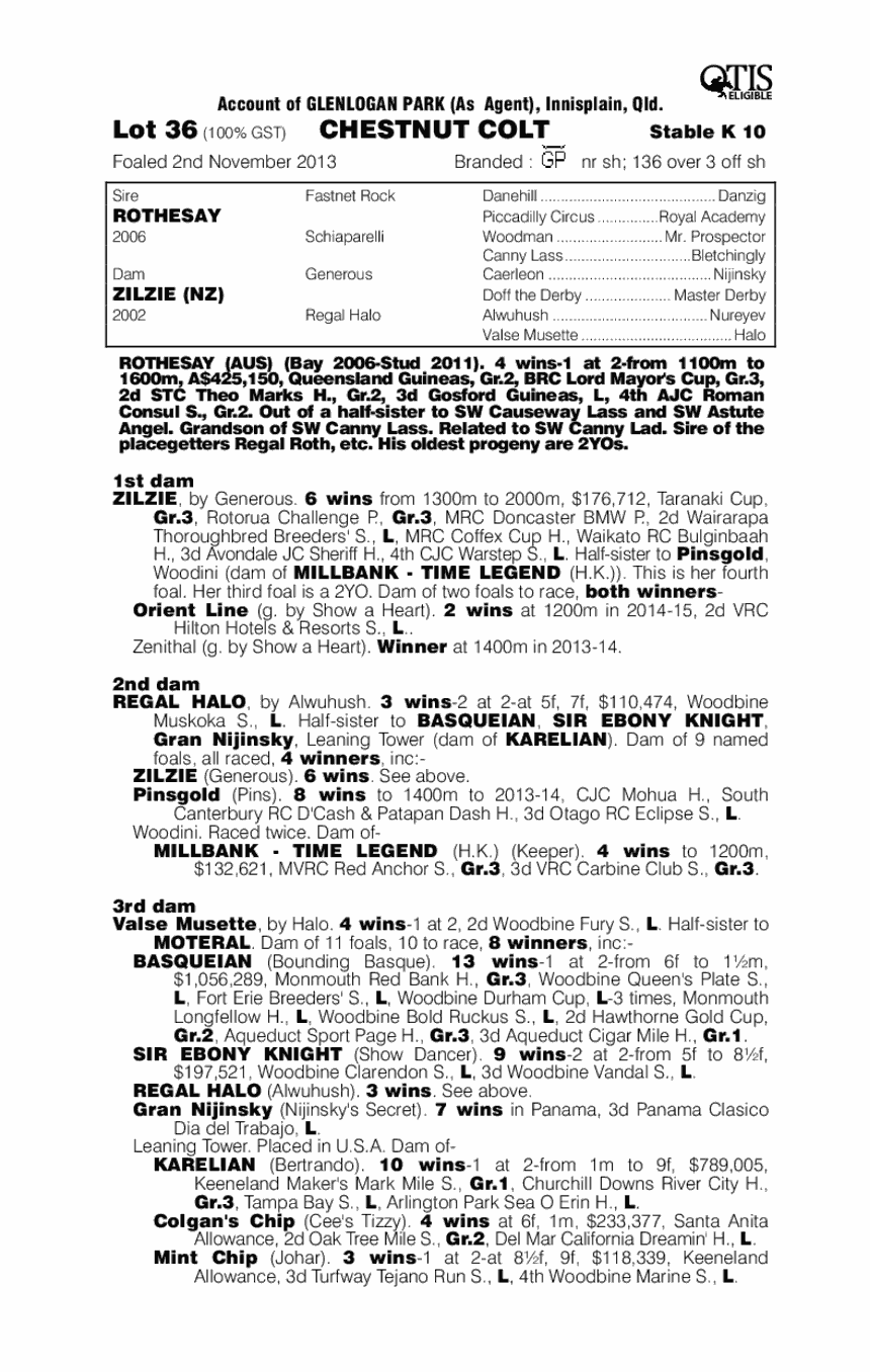 Raja Ampat (AUS) - pedigree