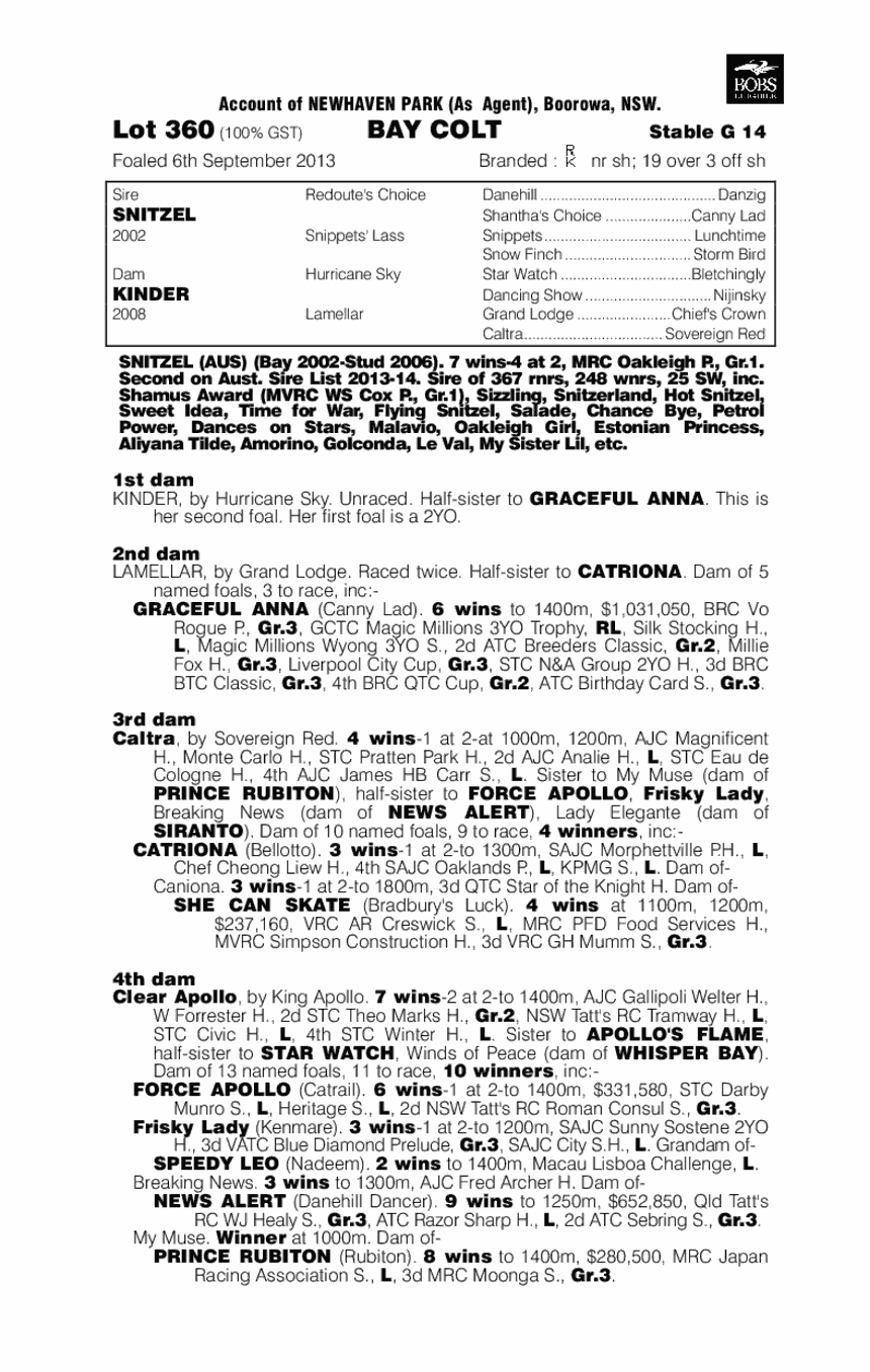 Hurricane Jack (AUS) - pedigree