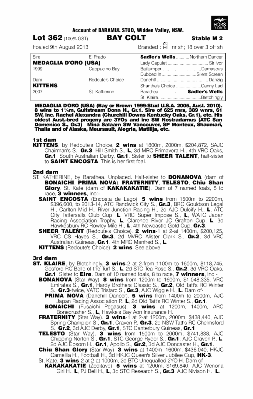 Medaglia d'Oro (USA) / Kittens (AUS) - pedigree
