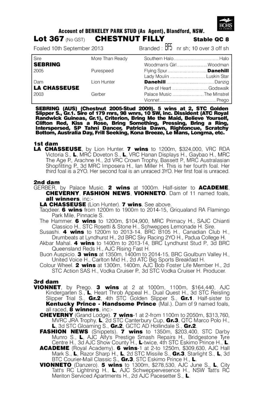 Call Me Sachi (AUS) - pedigree