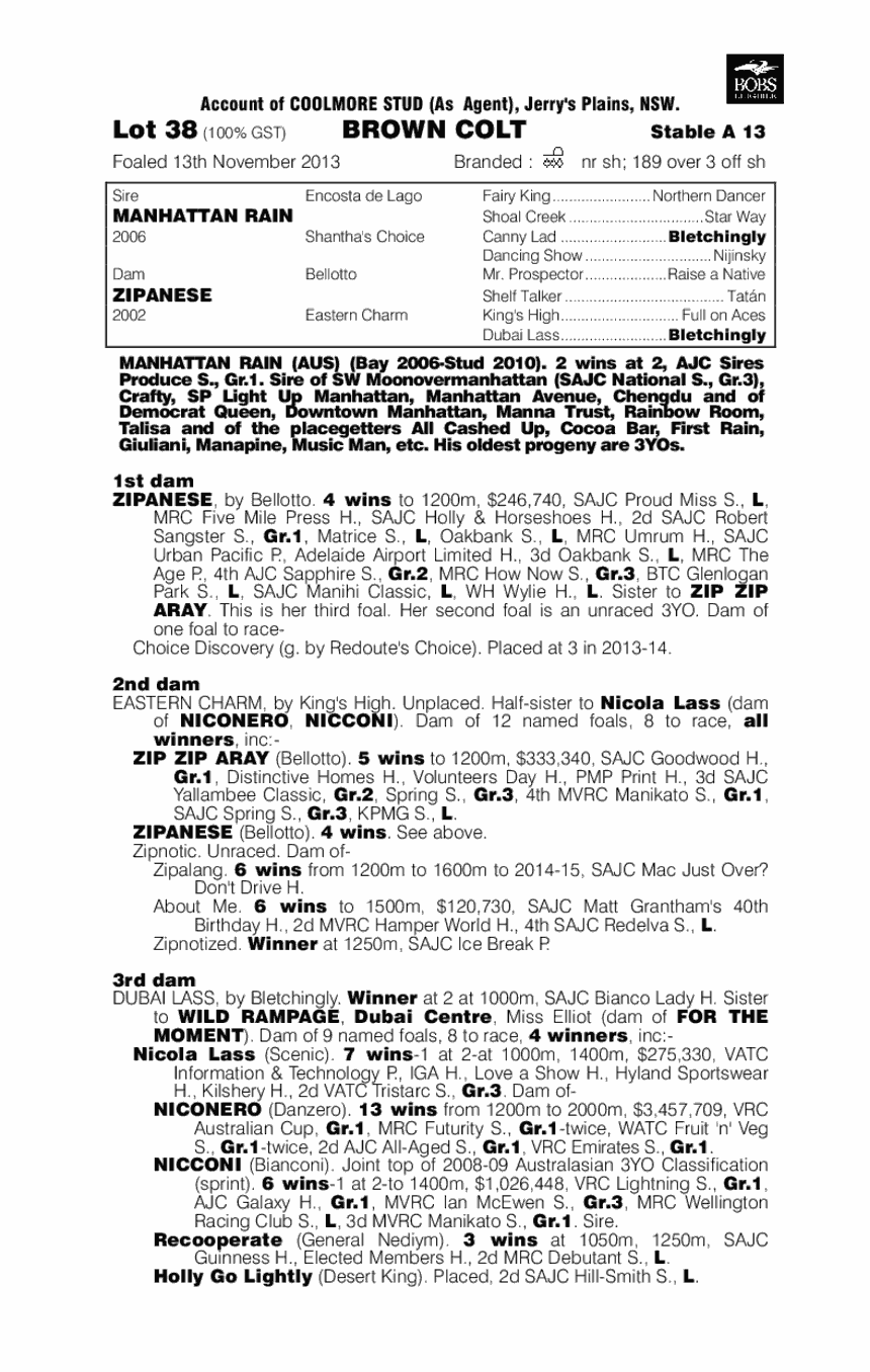 Manhattaning (AUS) - pedigree
