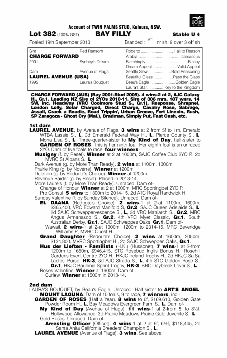 Lady Of War (AUS) - pedigree