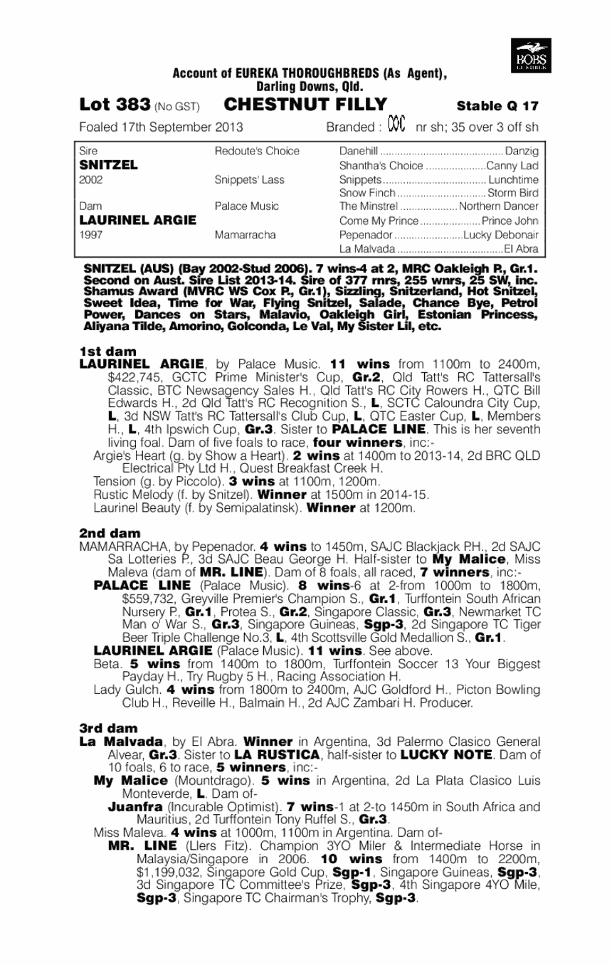 Argie Bargie (AUS) - pedigree