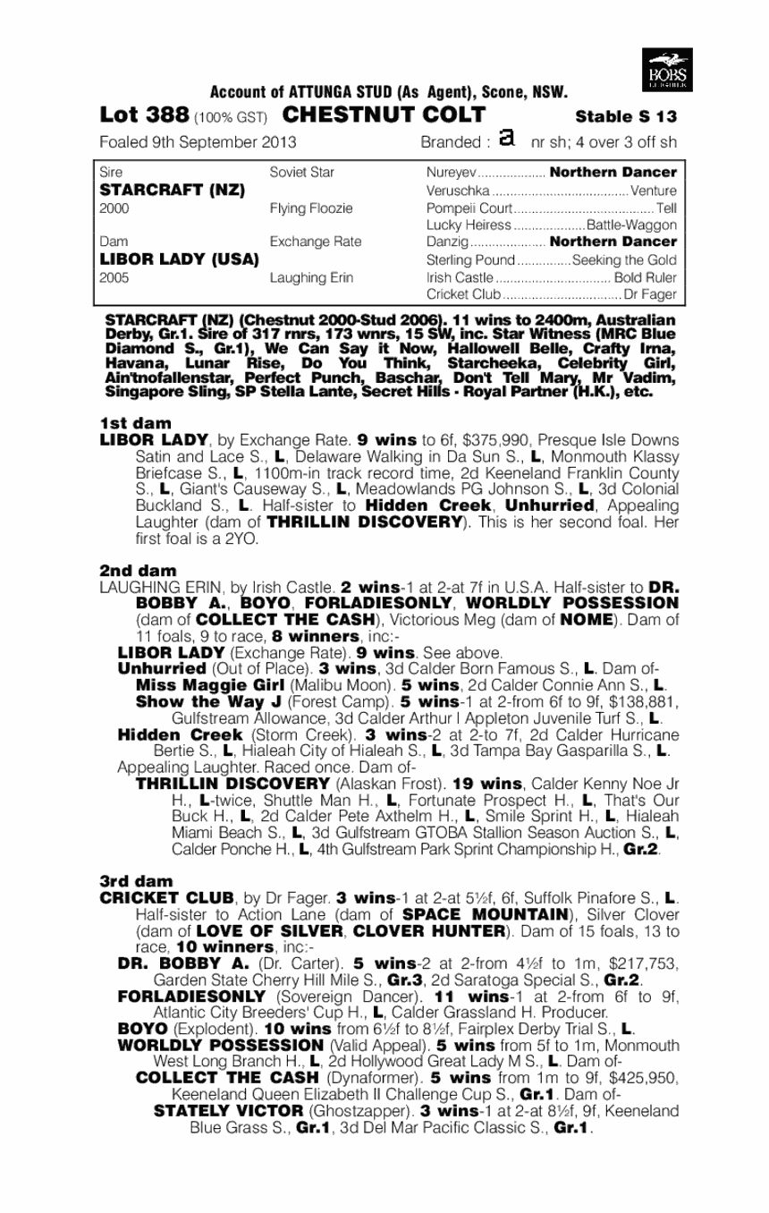 Starcraft (NZ) / Libor Lady (USA) - pedigree