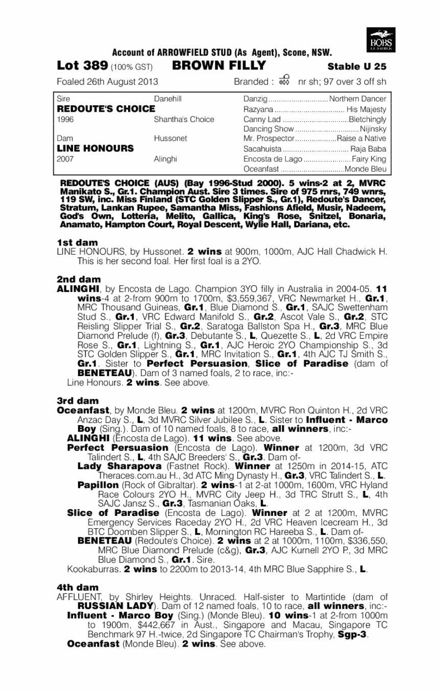 Extra Olives (AUS) - pedigree