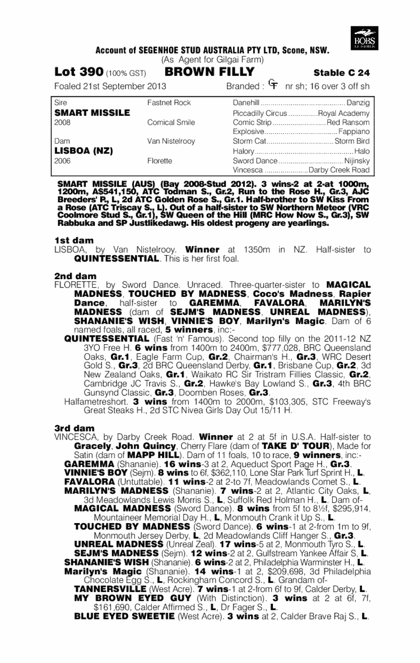 Smart Stiletto (AUS) - pedigree