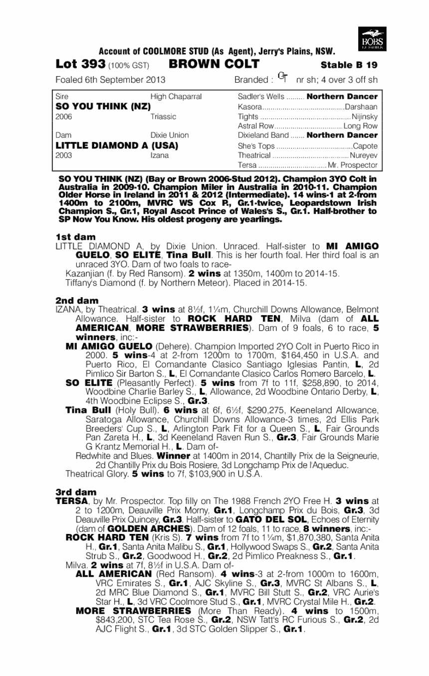 So You Think (NZ) / Little Diamond A (USA) - pedigree