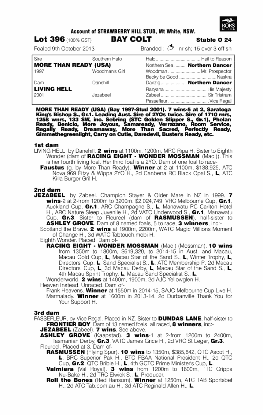 Hellbound (AUS) - pedigree