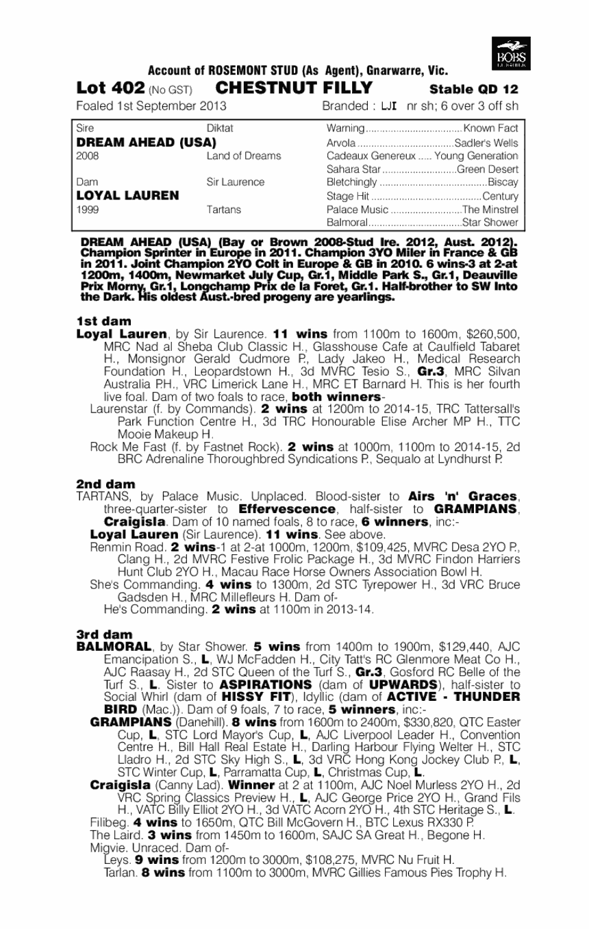 Dream Ahead (USA) / Loyal Lauren (AUS) - pedigree