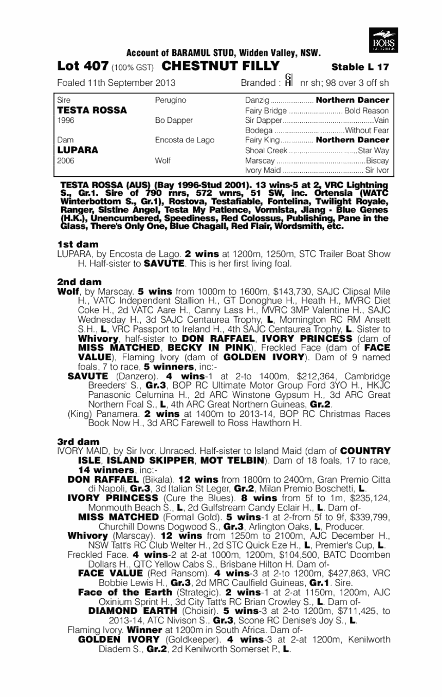 Miss Pistolaro (AUS) - pedigree