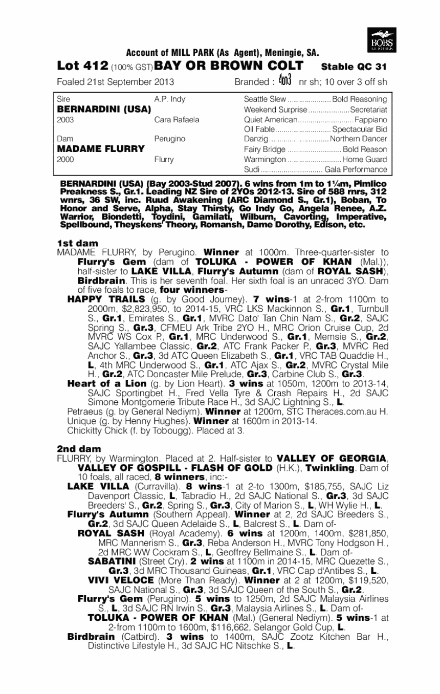 Bernardini (USA) / Madame Flurry (AUS) - pedigree