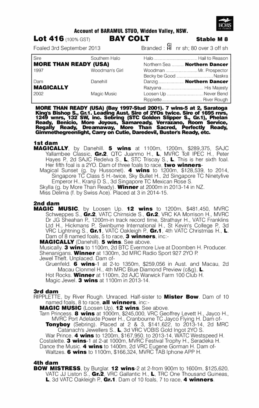 More Than Ready (USA) / Magically (AUS) - pedigree