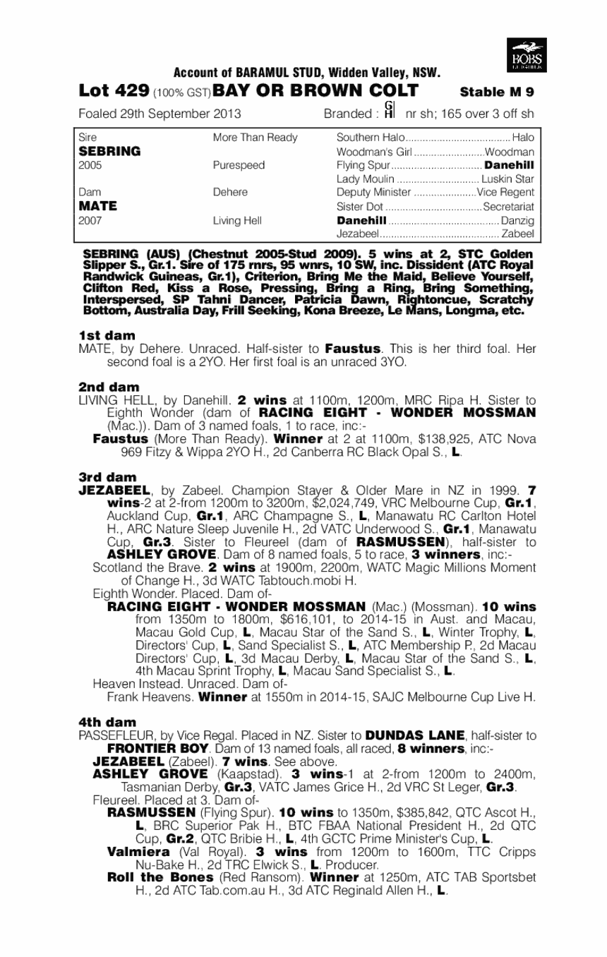 Sebring (AUS) / Mate (AUS) - pedigree