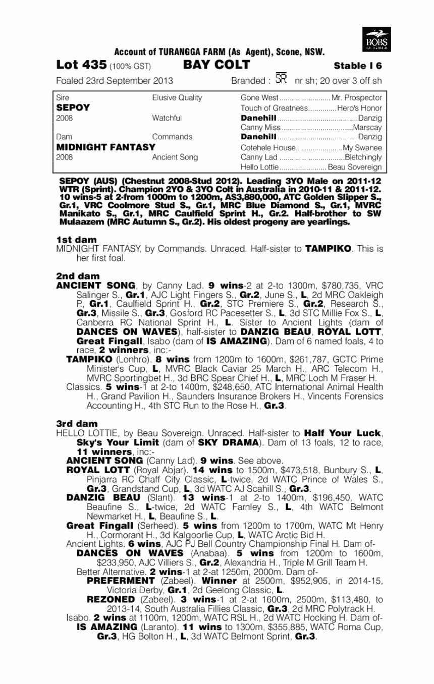 Patrol (AUS) - pedigree