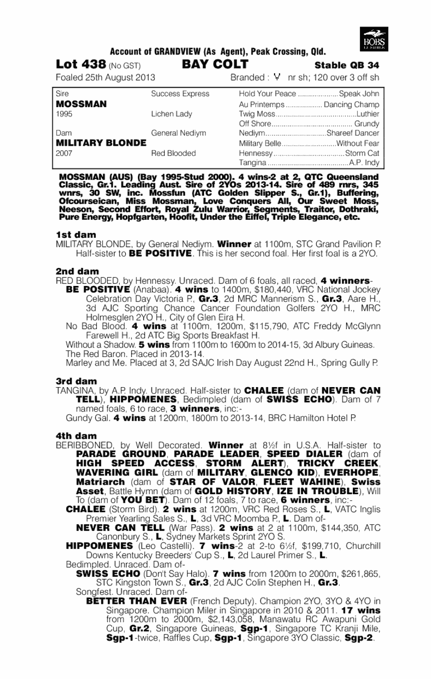 Military Machine (AUS) - pedigree