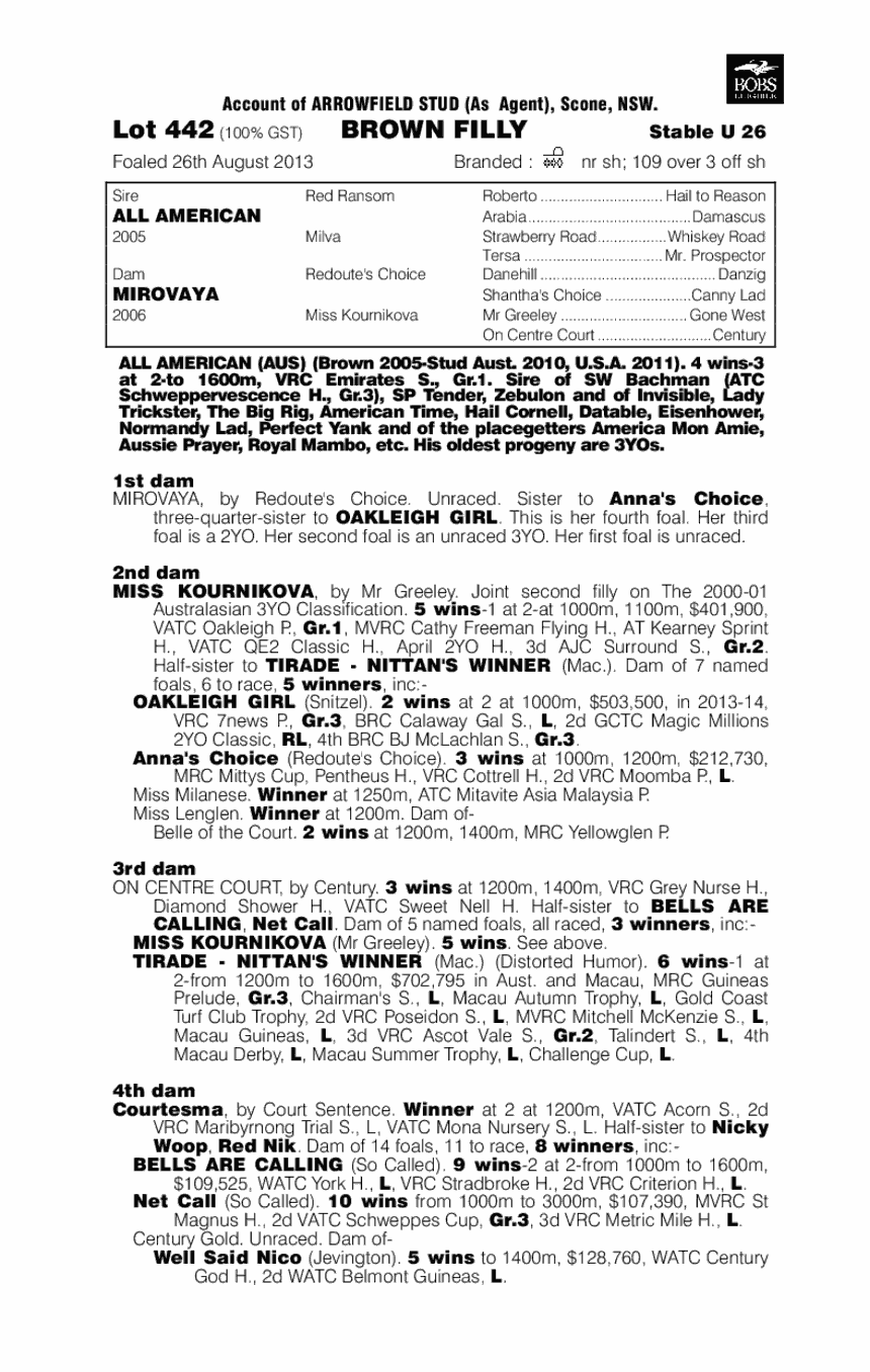 American Rush (AUS) - pedigree