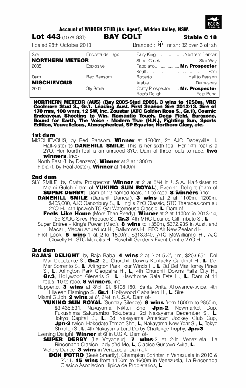 Sprinting To Win (AUS) - pedigree