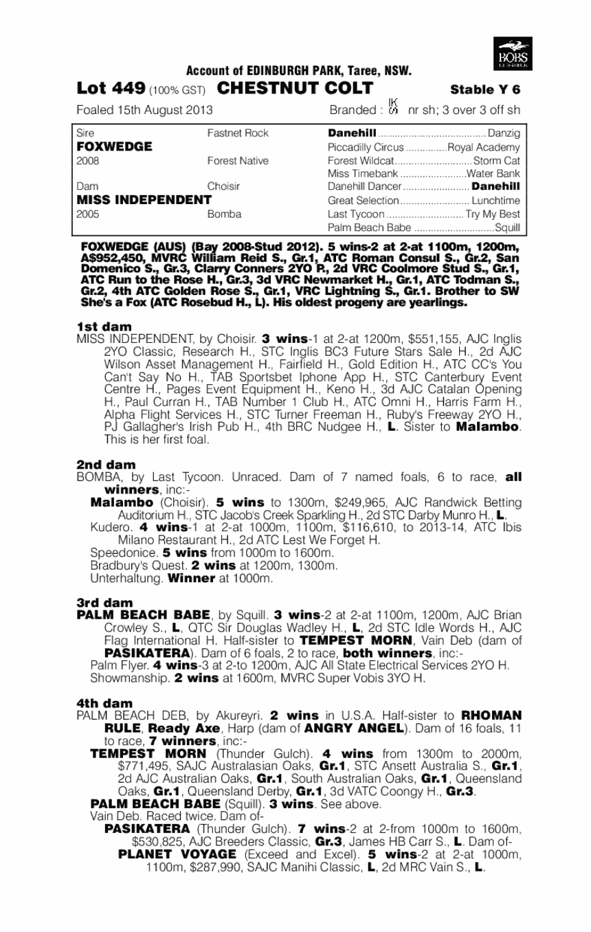 Portman Hunt (AUS) - pedigree