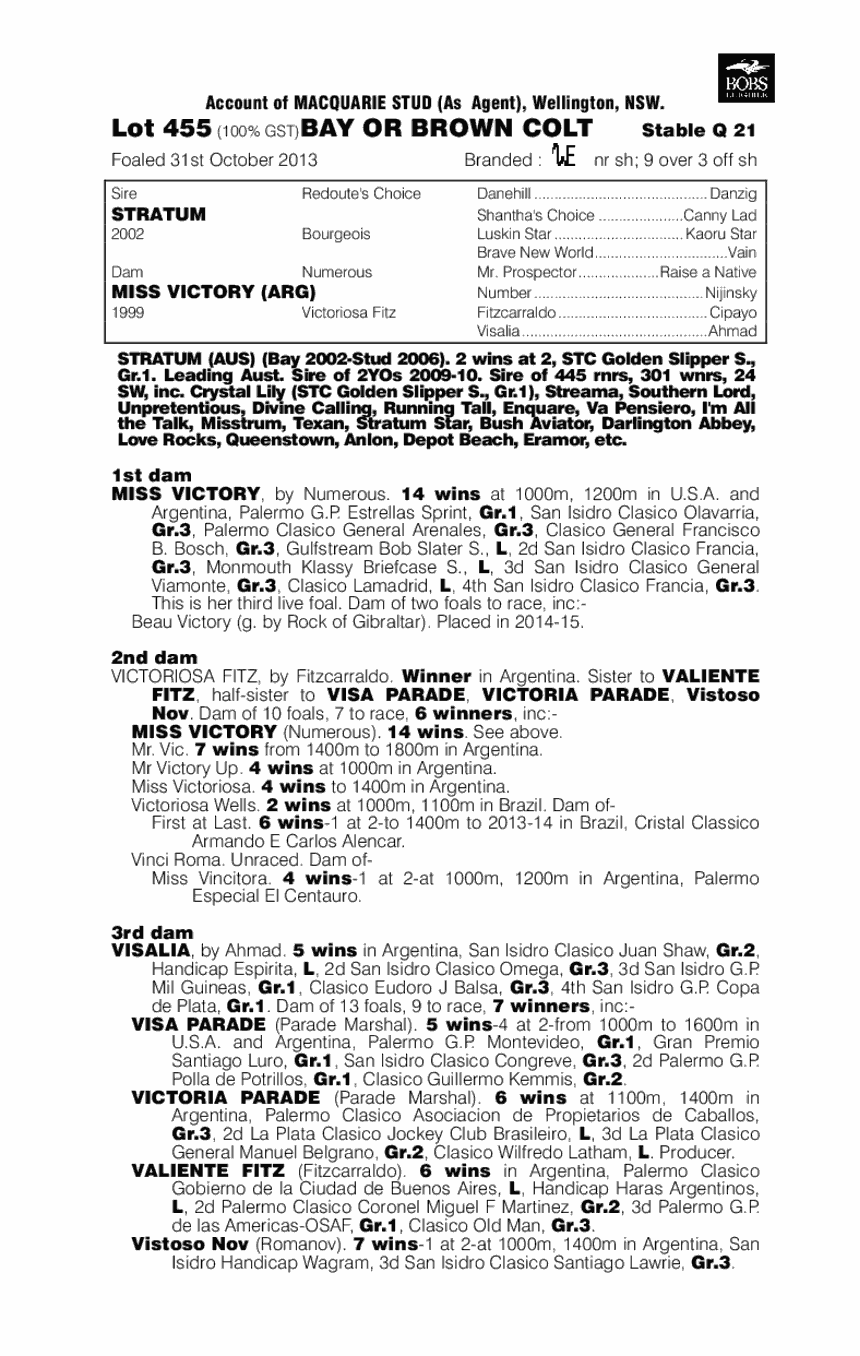 Vincero (AUS) - pedigree