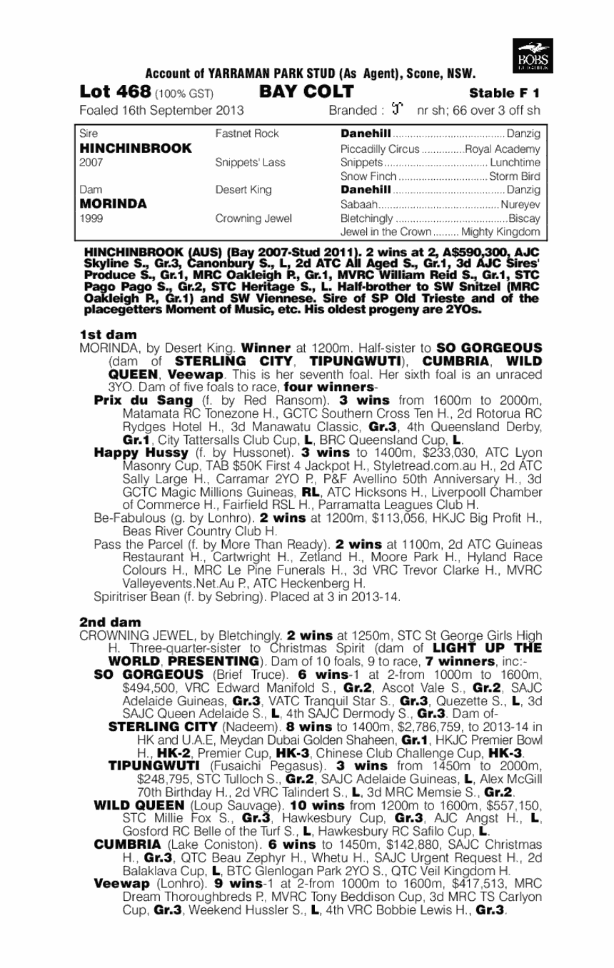 Hinchinbrook (AUS) / Morinda (AUS) - pedigree