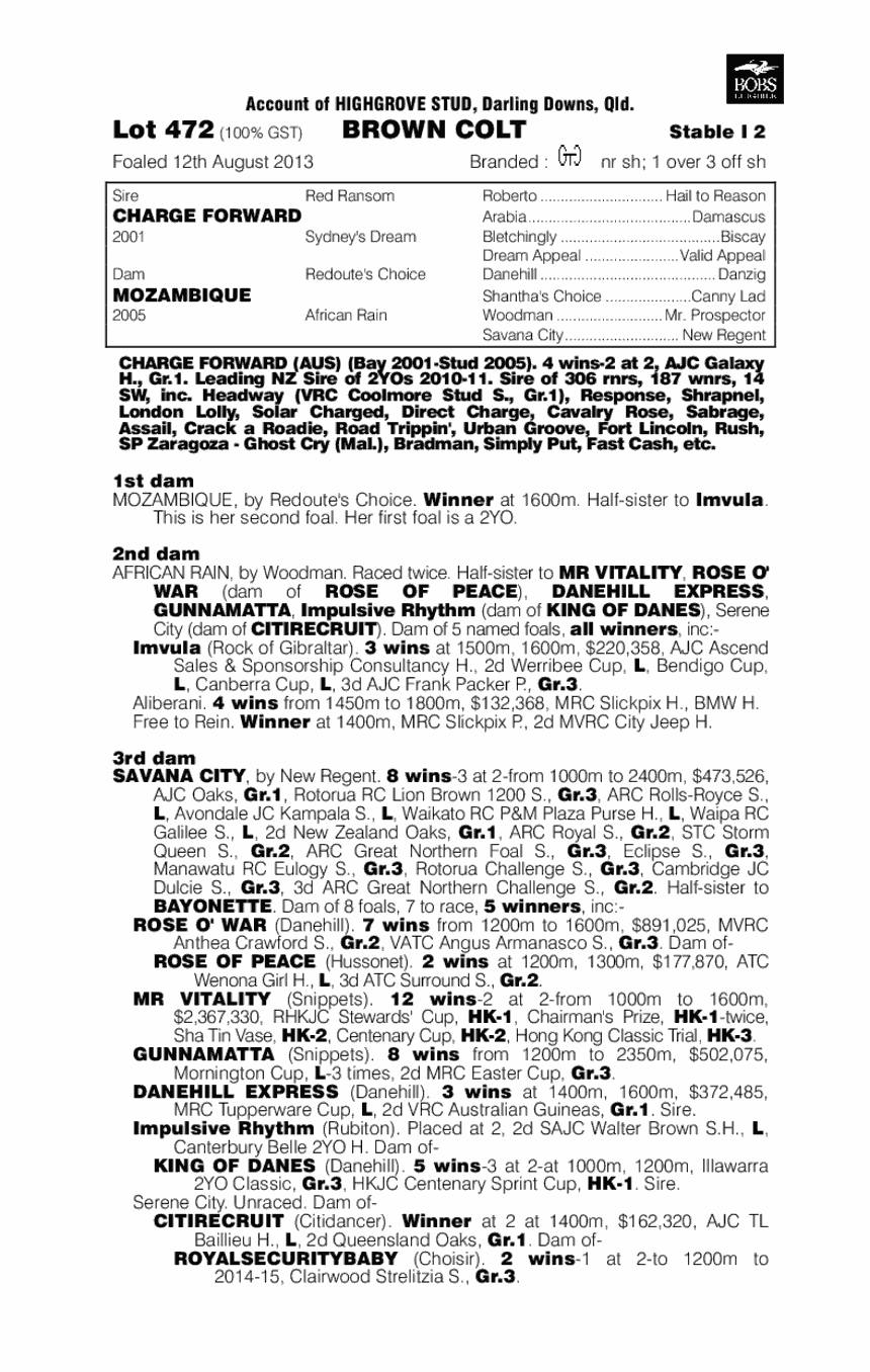 Tribal (AUS) - pedigree