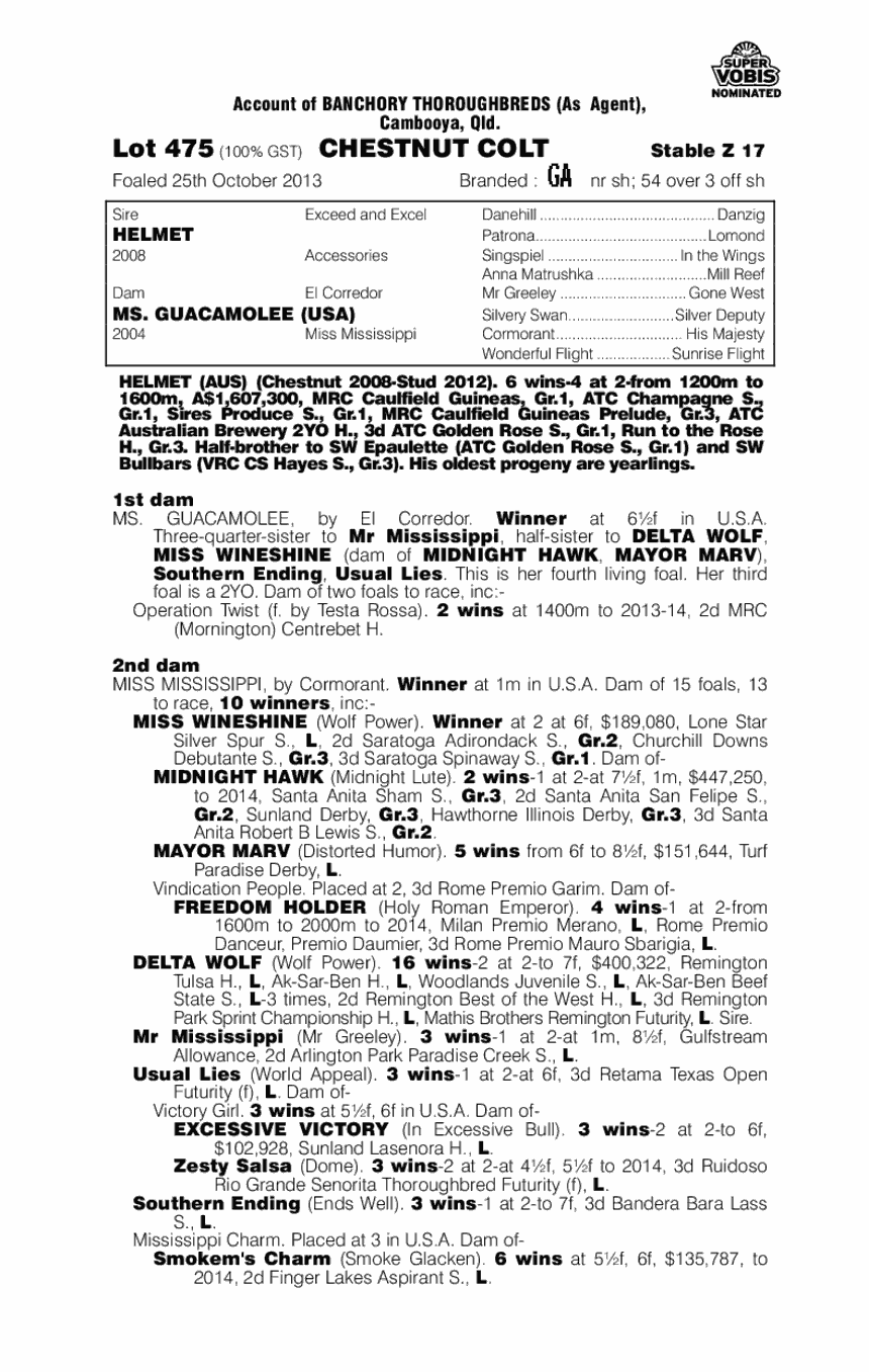 Helmet (AUS) / Ms Guacamolee (USA) - pedigree