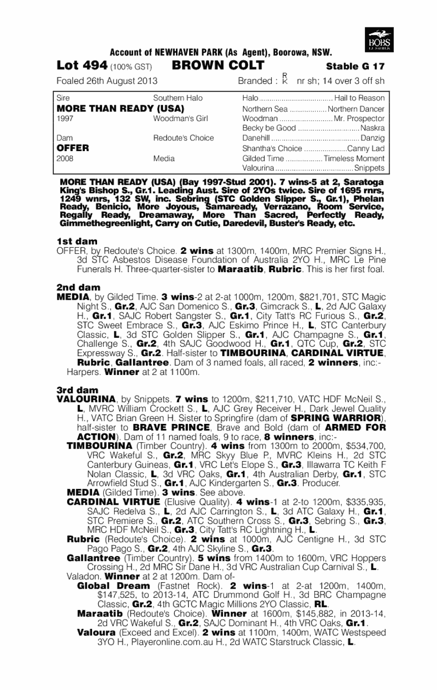 Pewter (AUS) - pedigree