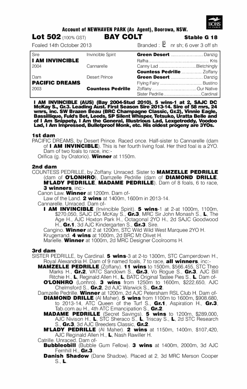 Sundance (AUS) - pedigree