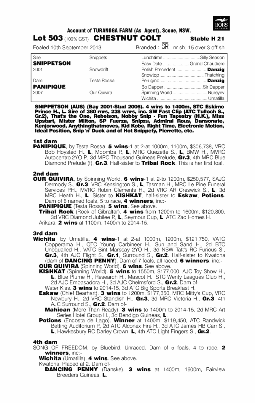 Snippetson (AUS) / Panipique (AUS) - pedigree