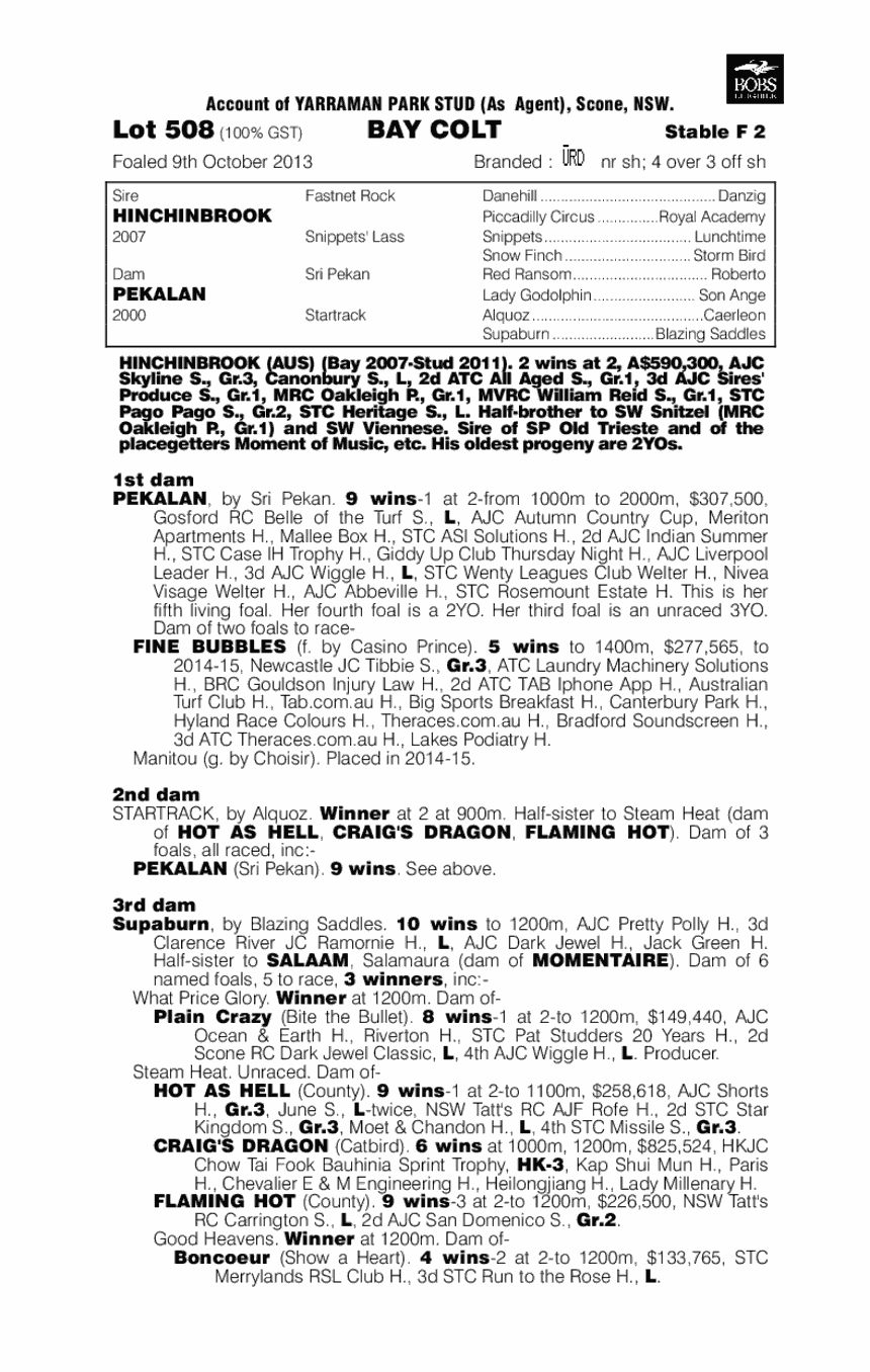 Hayman (AUS) - pedigree