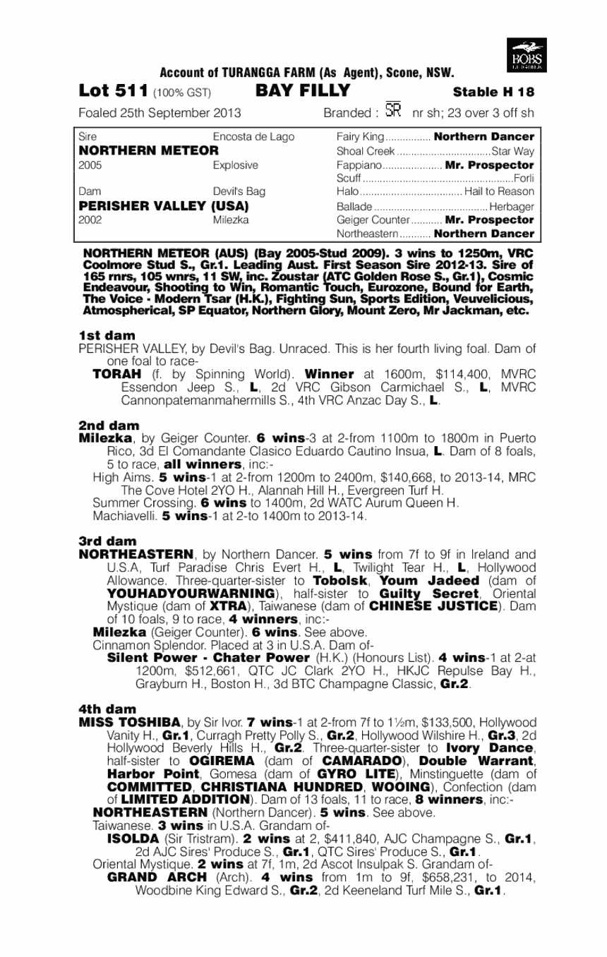 Snow Fields (AUS) - pedigree