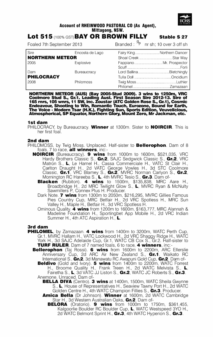 Duchess Of Dubai (AUS) - pedigree