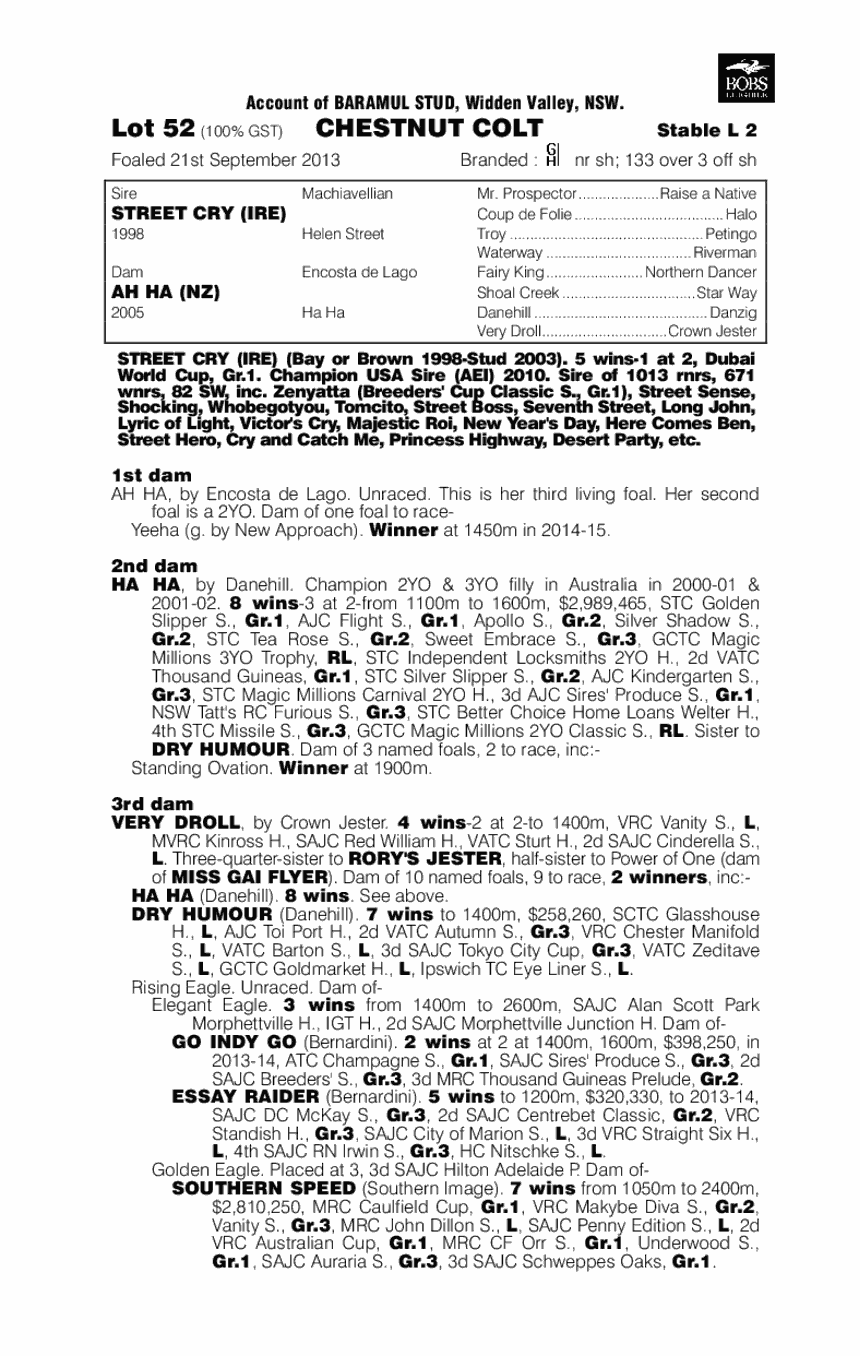 Street Comic (AUS) - pedigree