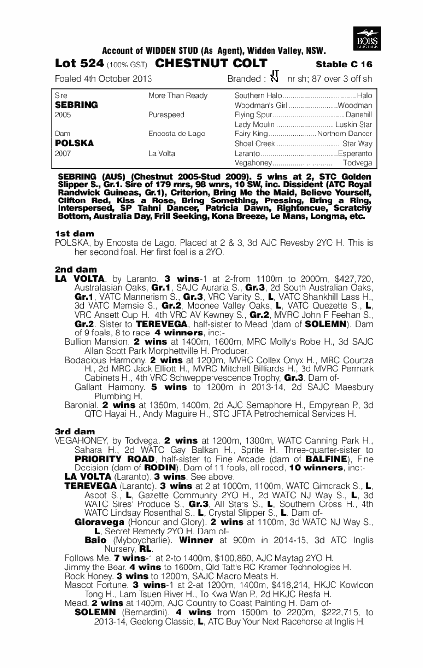 Seaburge (AUS) - pedigree