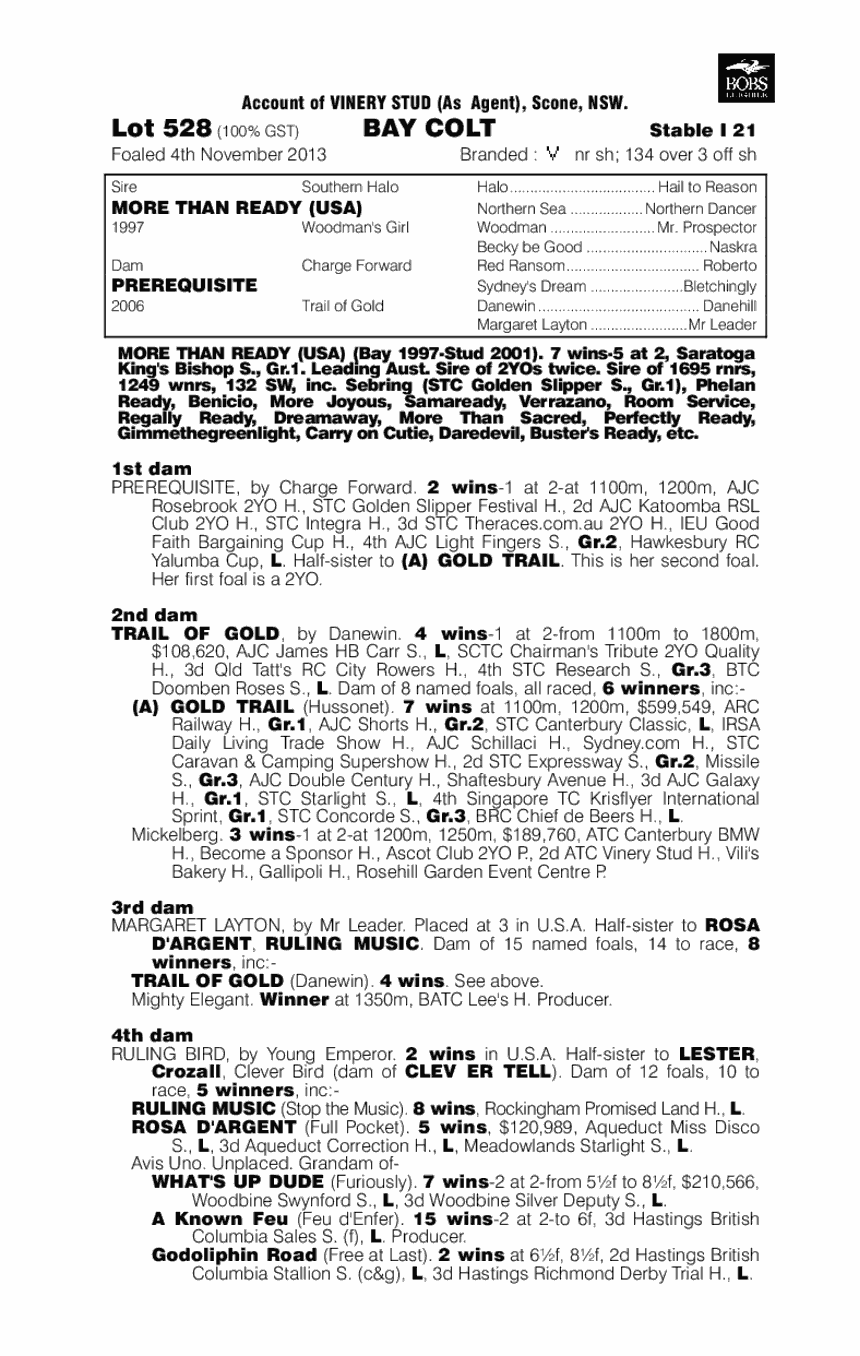 More Moet (AUS) - pedigree