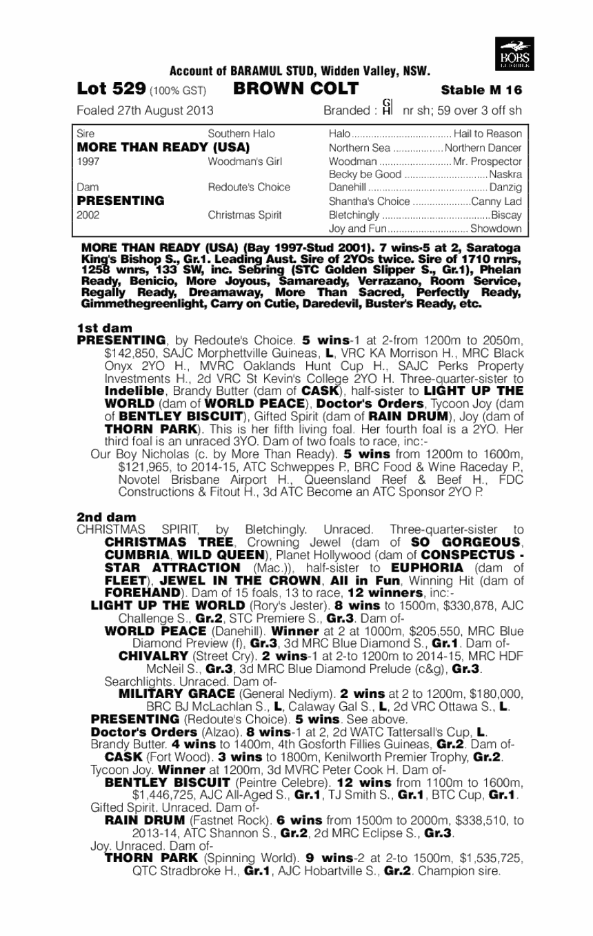 More Than Ready (USA) / Presenting (AUS) - pedigree