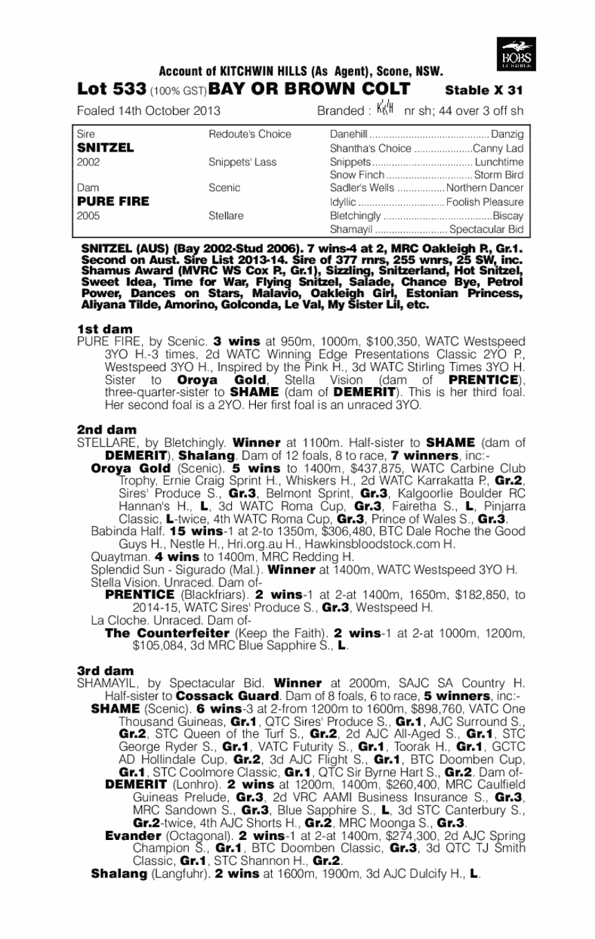 Northern Fire (AUS) - pedigree