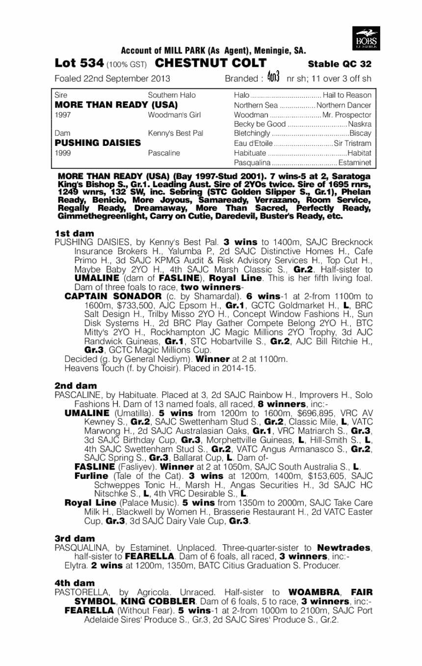 Coolamine (AUS) - pedigree