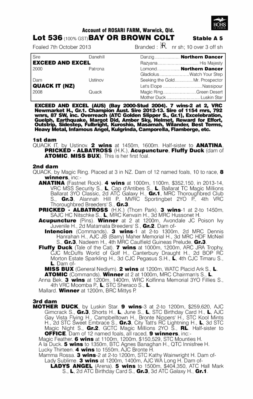 Double Dux (AUS) - pedigree