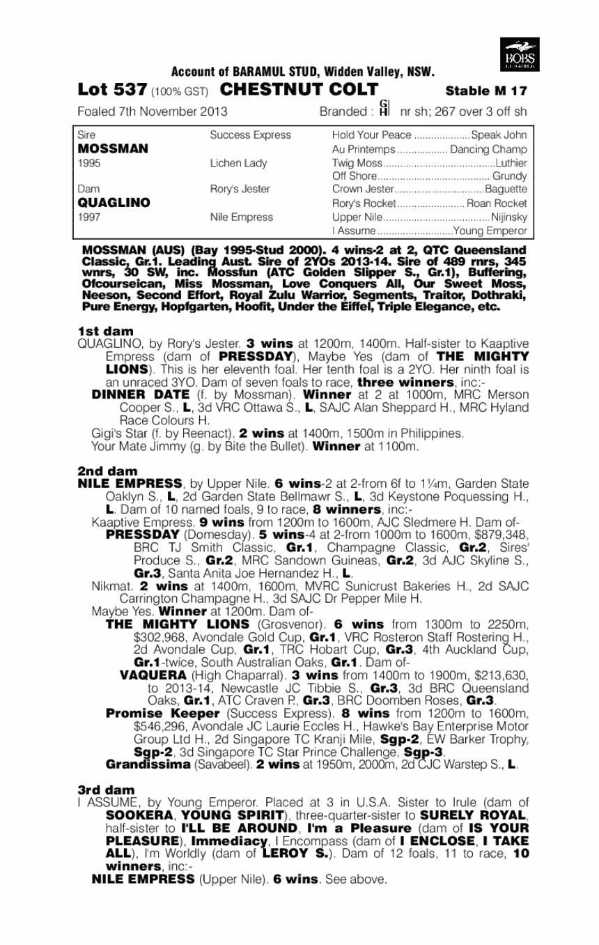 Mossman (AUS) / Quaglino (AUS) - pedigree