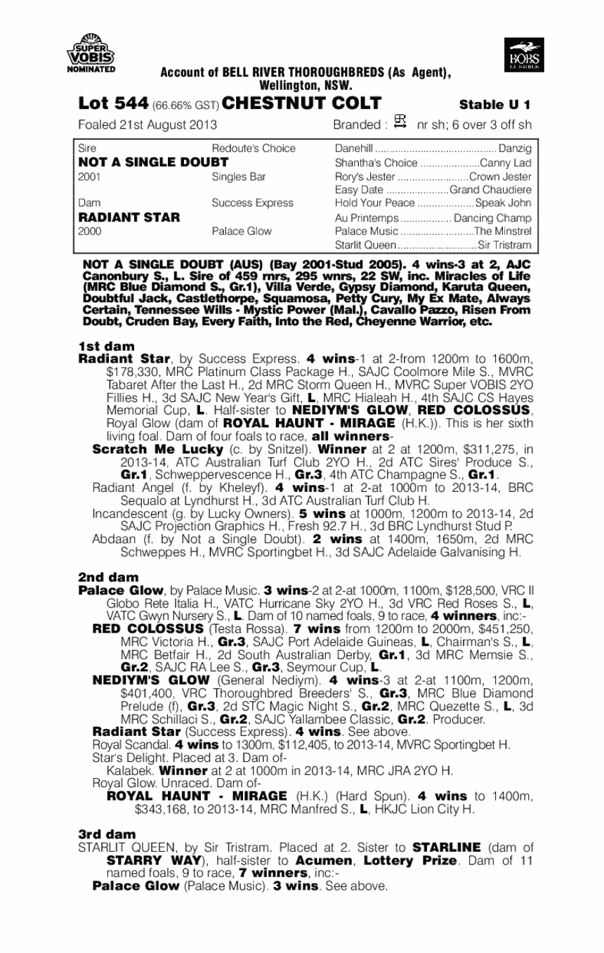 No Doubt A Star (AUS) - pedigree